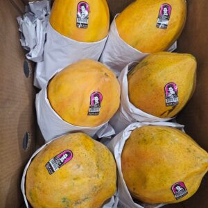 OK PRODUCE PAPAYA 8 PK