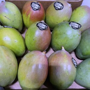 OK PRODUCE MANGOTOMMY 12 PK