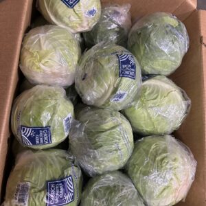 OK PRODUCE CABBAGE 20 PK